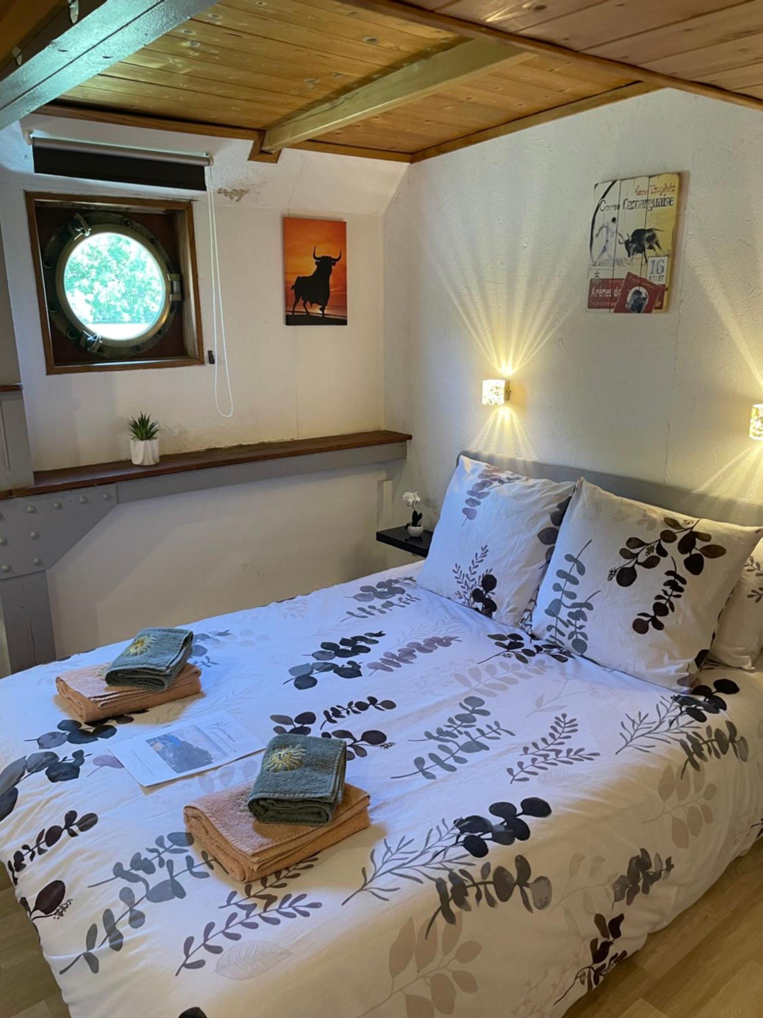 Péniche Le Pescalune - Chambre d'hôtes Arles Exterior foto